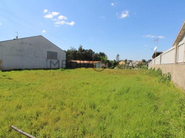 Águeda Águeda 102935626