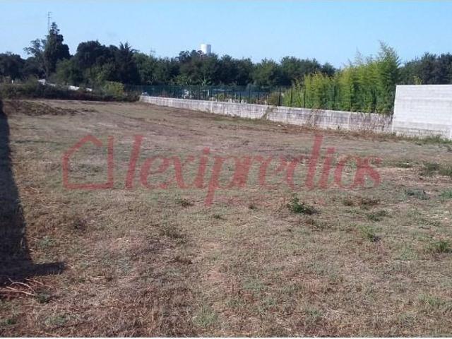 Águeda Águeda 103145858