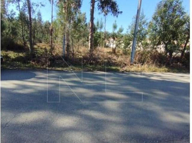 Águeda Águeda 103206831
