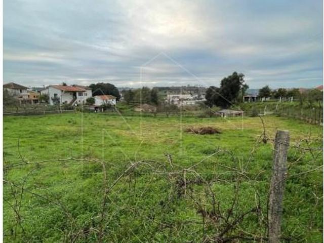 Águeda Águeda 103206835
