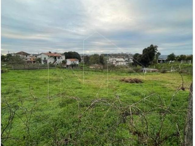 Águeda Águeda 103236021