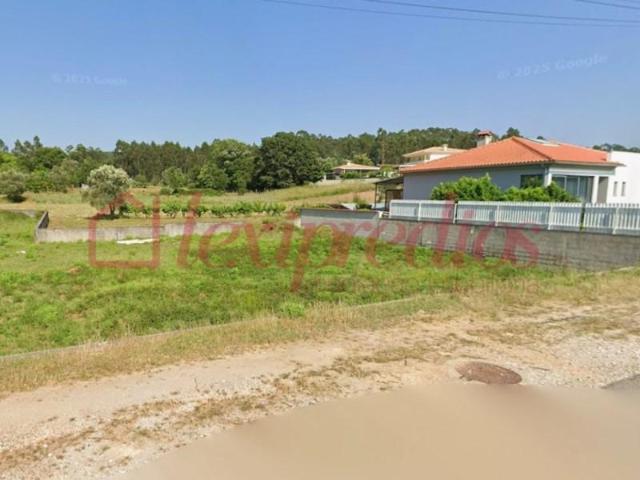 Águeda Águeda 103360708