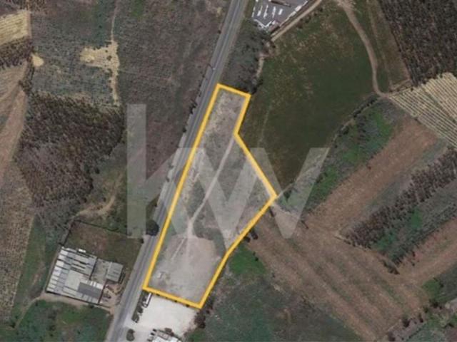 Águeda Águeda 103385431