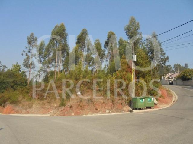Águeda Águeda 103409642
