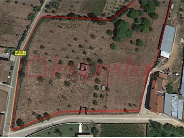 Águeda Águeda 103420740