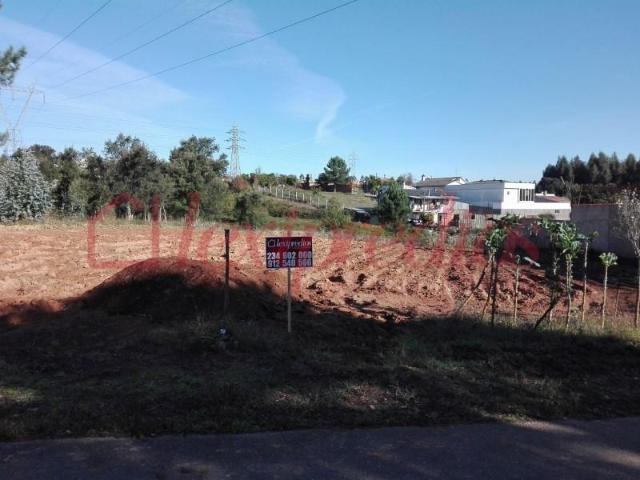 Águeda Águeda 103420737