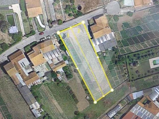 Águeda Águeda 103552097