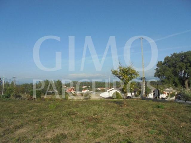 Águeda Águeda 103578698