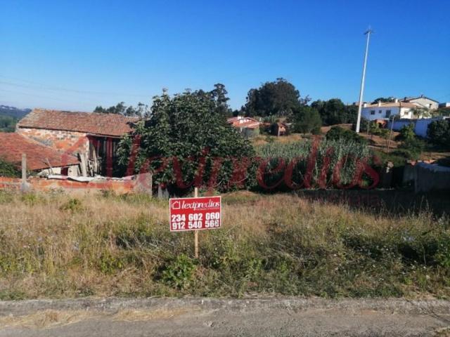 Águeda Águeda 103675894