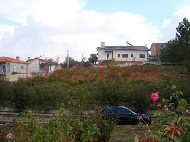 Águeda Águeda 103779334