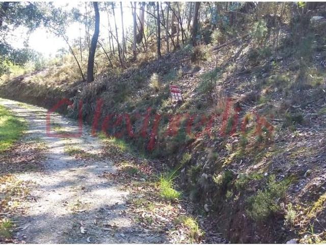 Águeda Águeda 103819095