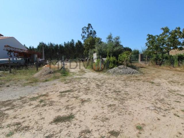 Águeda Águeda 104493453