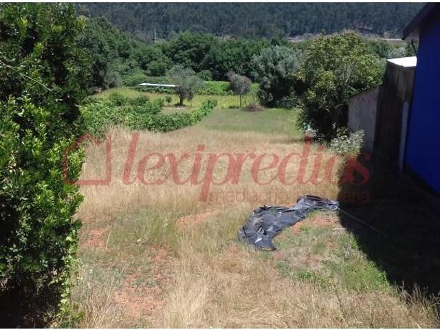 Águeda Águeda 104520866