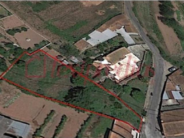 Águeda Águeda 104520872
