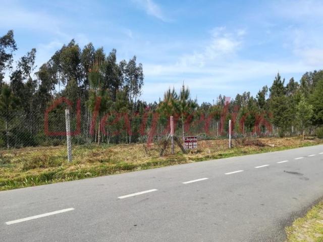 Águeda Águeda 104520877