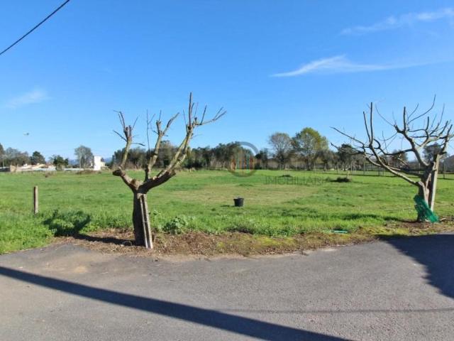 Águeda Águeda 104793002