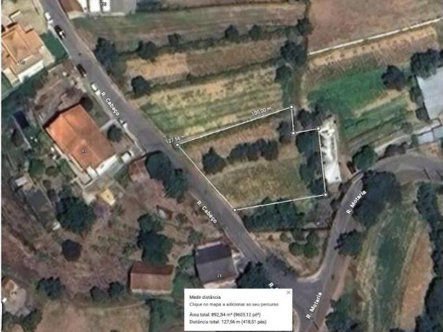 Águeda Águeda 104870408