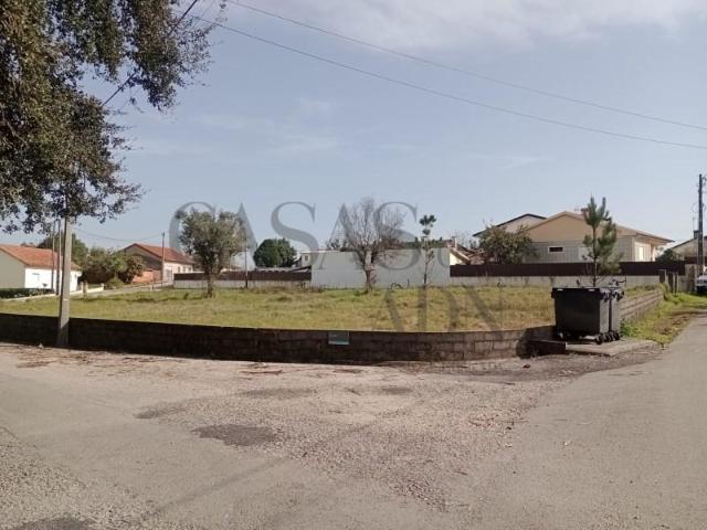 Águeda Águeda 104898019