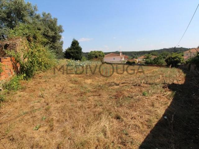Águeda Águeda 104818146
