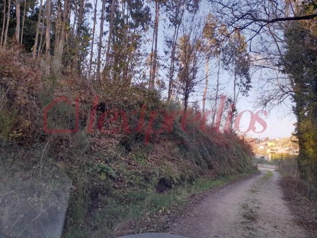 Águeda Águeda 3750 308 104520862