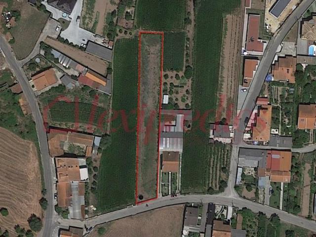 Águeda Águeda 87079040