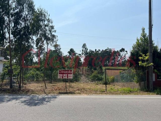 Águeda Águeda 87099853