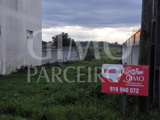 Águeda Águeda 87421239