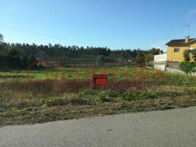 Águeda Águeda 87779811