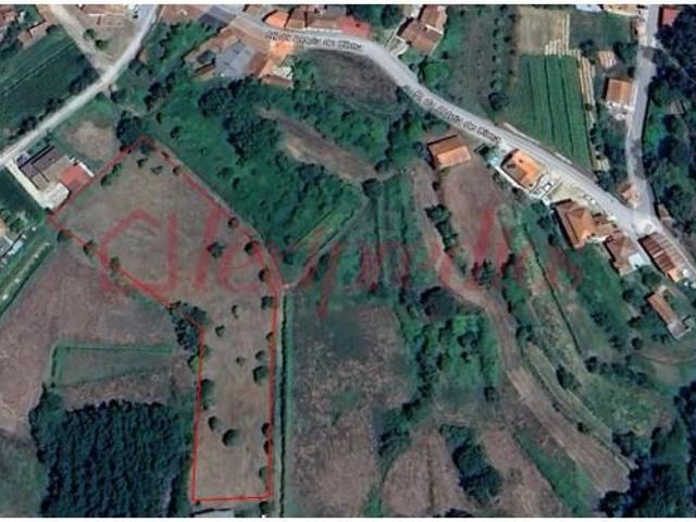 Águeda Águeda 89097967