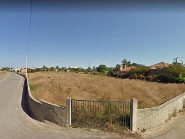 Águeda Águeda 97016347