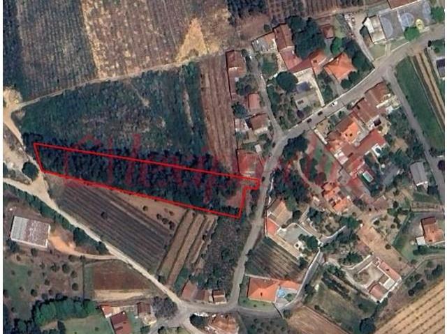 Águeda Águeda 97115809