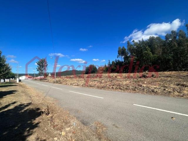 Águeda Águeda 97120320