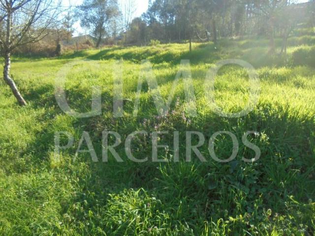 Águeda Águeda 98982720