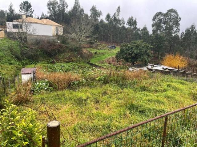 Águeda Águeda 99014040