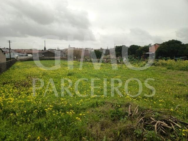 Águeda Águeda 99013848