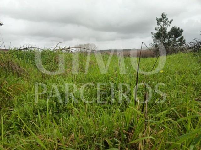 Águeda Águeda 99051417