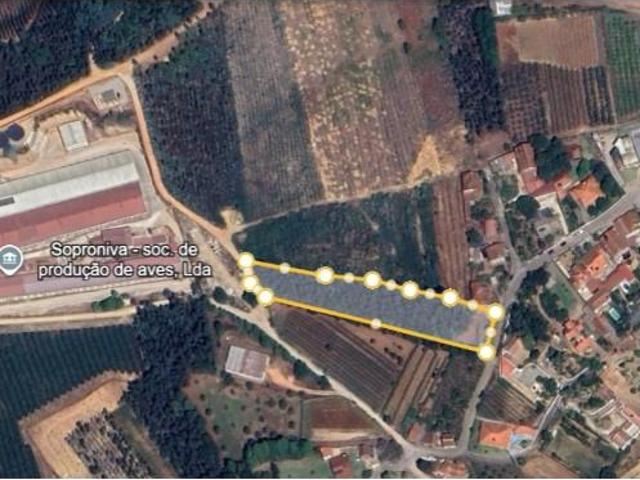 Águeda Águeda 99103239