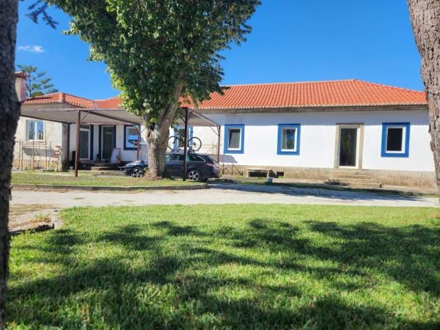 Águeda Águeda 99192872