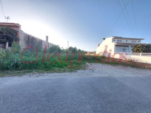 Águeda Águeda 99580116