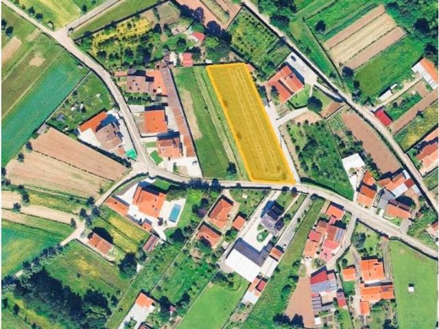 Águeda Águeda 99729324