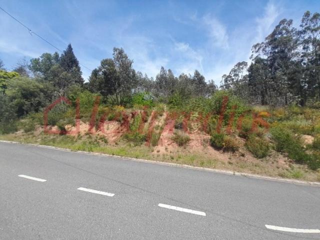 Águeda Águeda 90915789