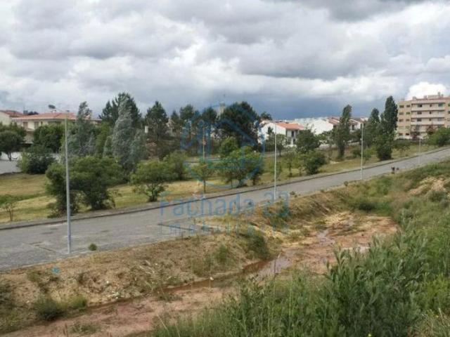 Águeda Aveiro 103922071
