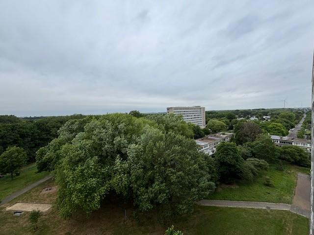 Admiraliteitslaan 714
