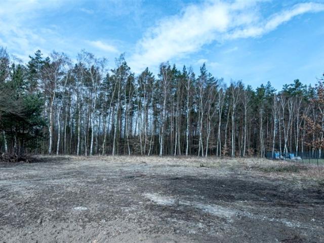 Ładna 2 047 m², Szczecin