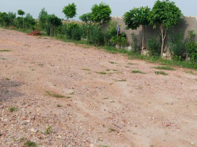 Adore Legend 2500 Sq.Ft. Plot in Sector 84 Faridabad Listing ID: #10347