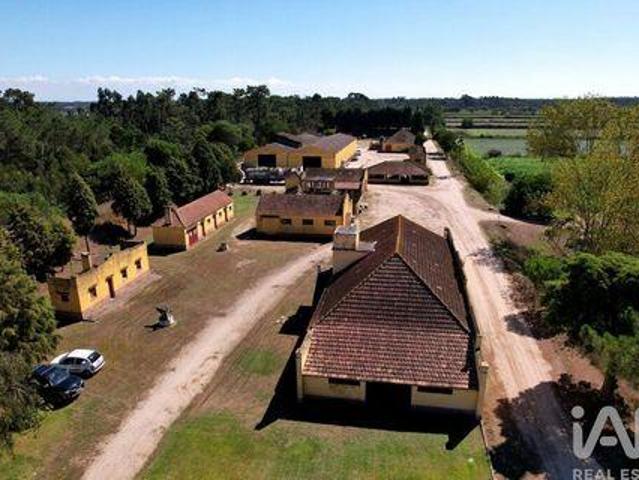 Adosados 8 quarto, Ilhavo Aveiro DLS101855972
