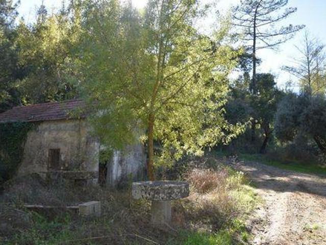 Adosados 1 quarto, Ourem Santarem DLS102558075
