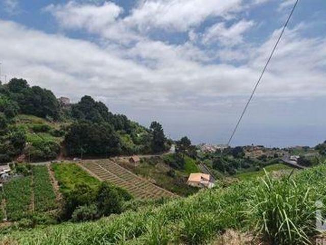 Adosados 3 quarto, Ponta Do Sol Ilha Da Madeira DLS100264330
