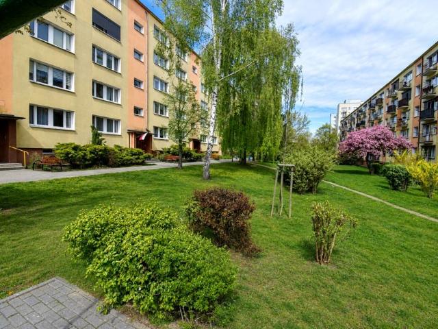 Adama Asnyka 42,30 m², Kalisz