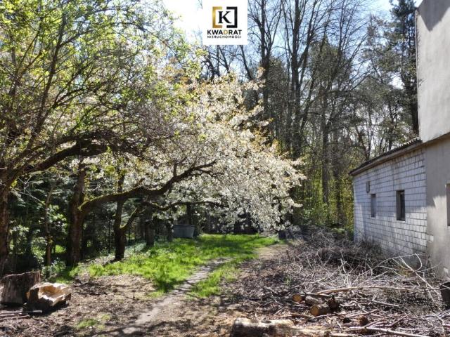 Adama Mickiewicza 130 m², Mrozy